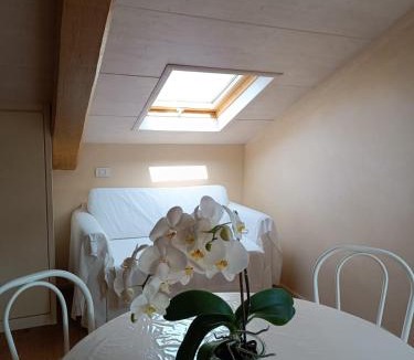 Civitanova Marche Bed & Breakfast | Nontiscordardimé B&B Villa Agriturismo