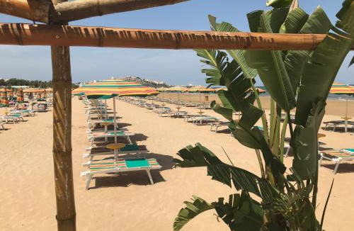 Scialara Hotel | Oasi Beach Hotel