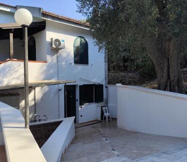 Vico del Gargano Apartment | Oasi degli Ulivi