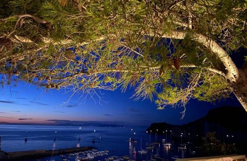 Le Forna Apartment | Oasi del Mare Pinna Nobilis