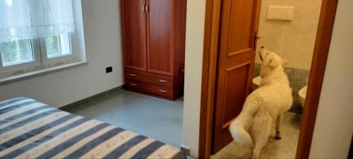 San Giovanni Rotondo Hostel | Oasi della Divina Volontà