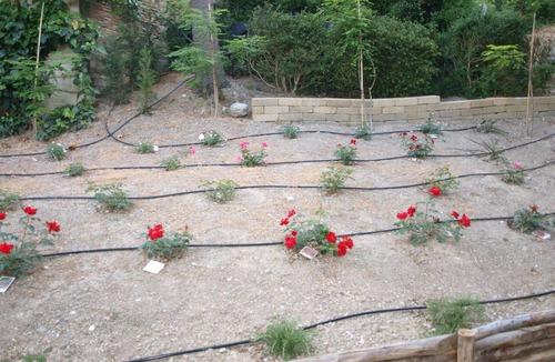 Monteguidi Cottage | on top of the Tuscan Hill