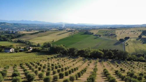 Civitanova Marche Apartment | OroVerde Residence - Private Pool - 11 guests