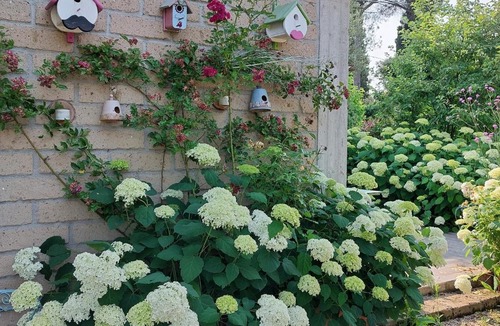 Marta House | Orto delle Fate
