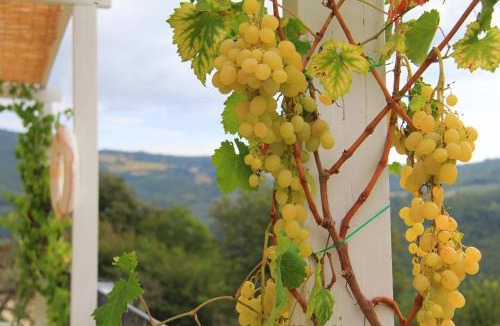 Spello House | Pekko