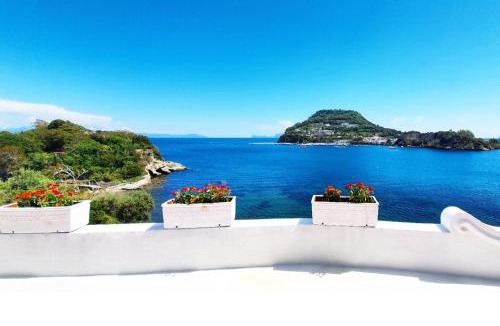 Bacoli Bed & Breakfast | Pennadio Rooms