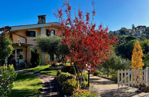 Pescara Bed & Breakfast | Peperosa in collina B&B