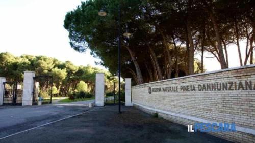 Pineta Apartment | Pescara INN - Pineta Retreat