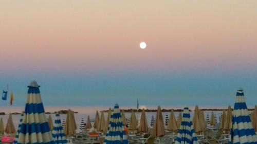 Porto d'Ascoli Hotel | Petit Hotel