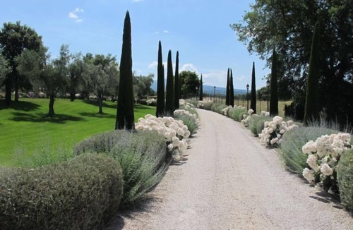 Viterbo Hotel | Phi Hotel Corte delle Terme