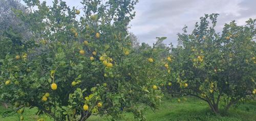 Crotone House | Piccolo Paradiso Crotone