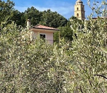 Perdifumo House | Pink House