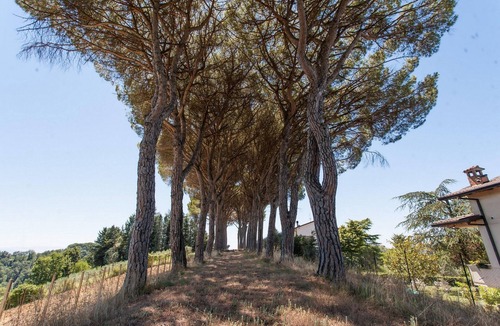 Ramazzano Apartment | Podere Caldaruccio La Pineta - Torretta