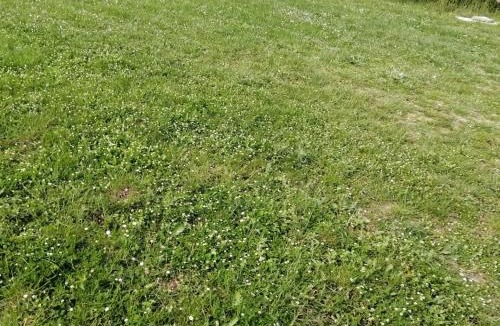 Montelaguardia Apartment | Podere Collicello, una finestra sull'Umbria!