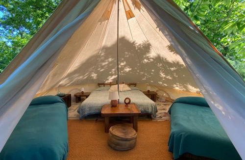 Santa Fiora Other | Podere di Maggio - Glamping tent 2