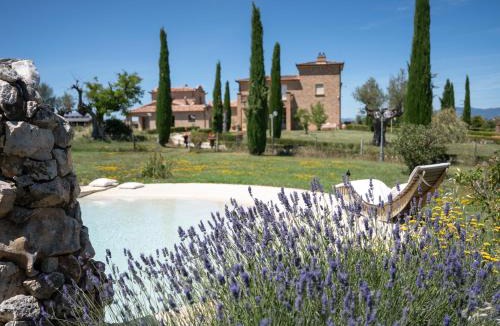 Petrignano del Lago Bed & Breakfast | Podere San Giuseppe