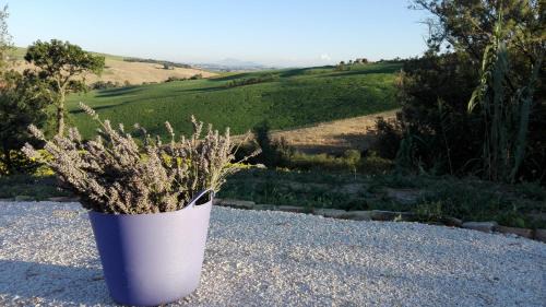 Montelupone Apartment | Poggio delle Lavande