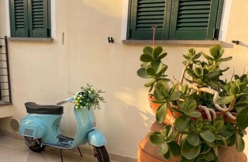 Campagnatico Apartment | Poggio Madonna