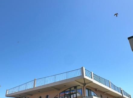 Marina di Montenero Hotel | Polena Residence Hotel