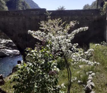 San Paolo Cervo Bed & Breakfast | Ponte Fontana