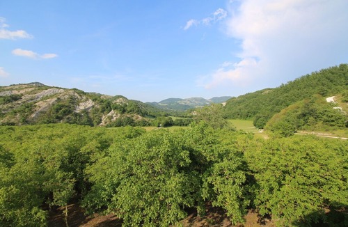 Apecchio Villa | Property with swimming pool, spacious garden, private terrace and views