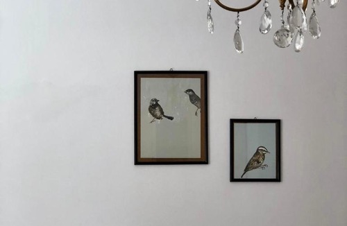 Bisceglie Apartment | PugliAmore