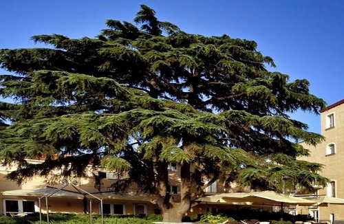 Cercola Hotel | Relais Villa Buonanno