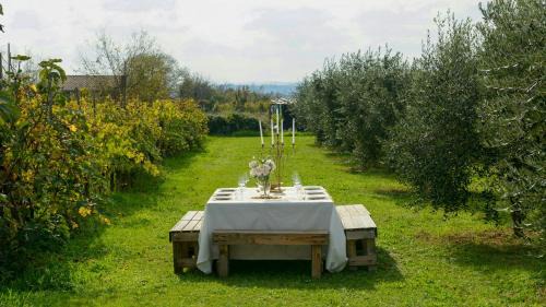 Puliciano House | Renovated Barn Among Vineyards Near Arezzo