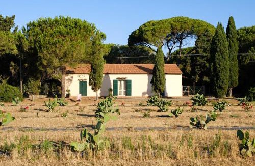 Marina di Grosseto Apartment | Residence La Canova II
