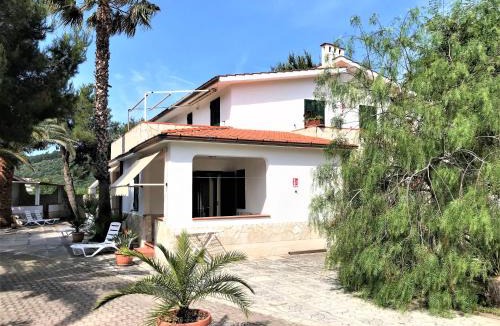 Defensola Apartment | Residence Palm Garden