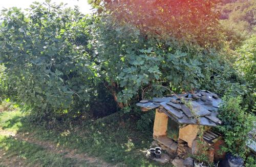 Bagnolo Piemonte Apartment | Rifugio Felice