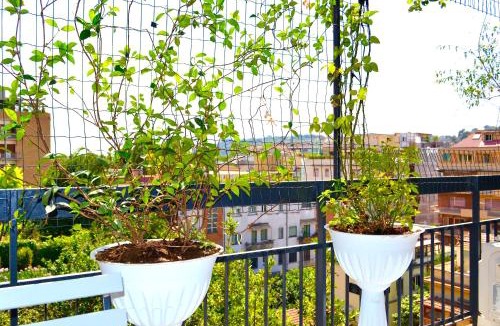 Tor di Quinto House | Roma Tourist House