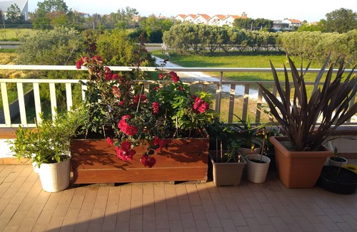 Montenero di Bisaccia Villa | Room sleeps 4 bunk beds for rent with en suite bathroom in self-management
