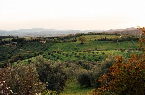 Roccastrada Other | Sahara - Glamping Maremma, Toscana