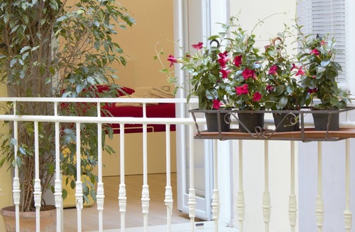 Quartieri Spagnoli Apartment | San Carlo Apartment - Piazza del Plebiscito -
