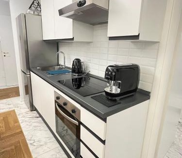 Salario Apartment | Savoia House, modern apartment near Villa Borghese