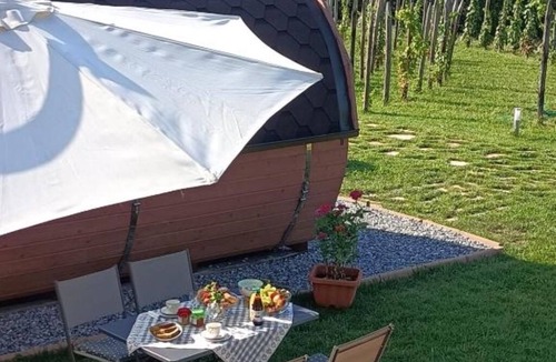 Marzi Bed & Breakfast | Sleeping in a Barrel - Antiche Vigne Pironti - Mantonico
