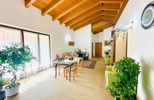 Tortoreto Lido Apartment | sogni di mare