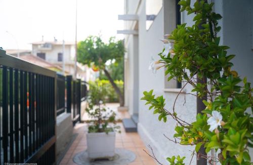 Tortoreto Lido House | SoleLuna