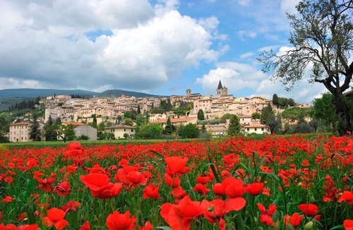 Spello Apartment | Spadolino Apt City Center, Spello, Italy
