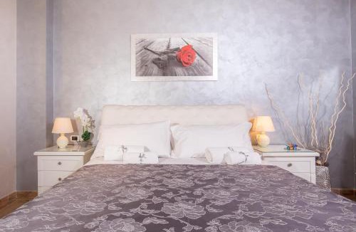 Universita House | Starry Rome Guest House