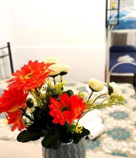 Vasto Apartment | Stellina in centro Sweet Apartaments