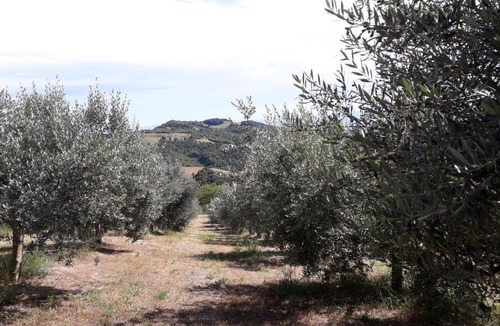 Rivotorto House | Sulla Strada di San Francesco