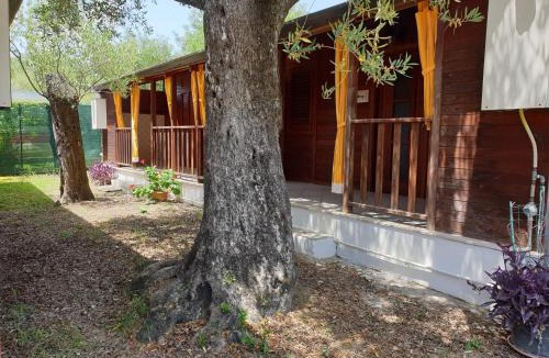 Capitello Apartment | Summer Paradise