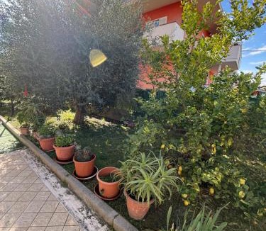 San Benedetto del Tronto Apartment | Sun Beach