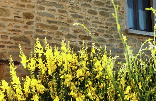 Modigliana House | Tasteful holiday home in Modigliana with garden