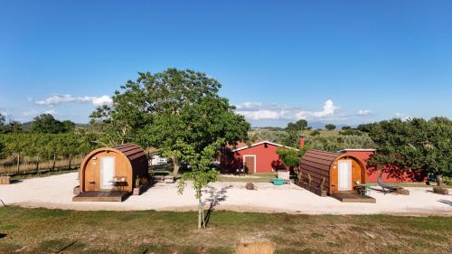 Capodimonte Other | Terre Di Nacchia