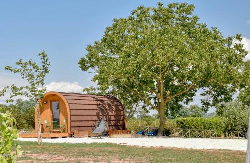Capodimonte Other | Terre Di Nacchia