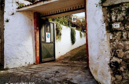 Castellammare di Stabia Bed & Breakfast | Tettoeletto Garden Bio