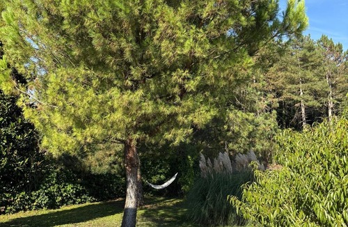 Rivalta Bormida Villa | The den of stillness